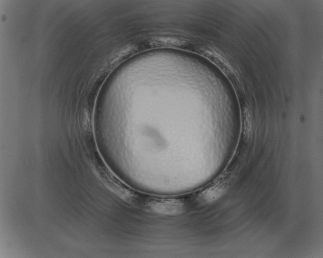 X0000081350459200702020119