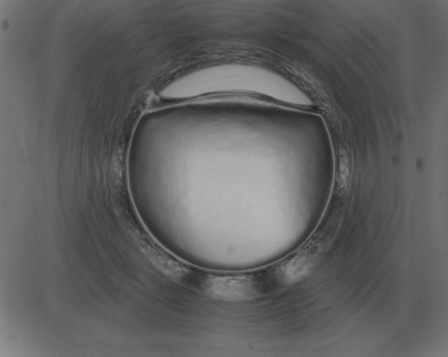 X0000081350461200702020119