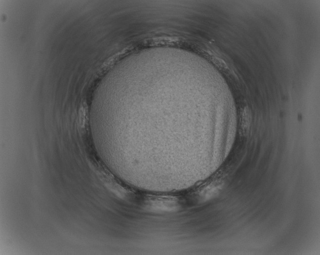 X0000081350463200702020119