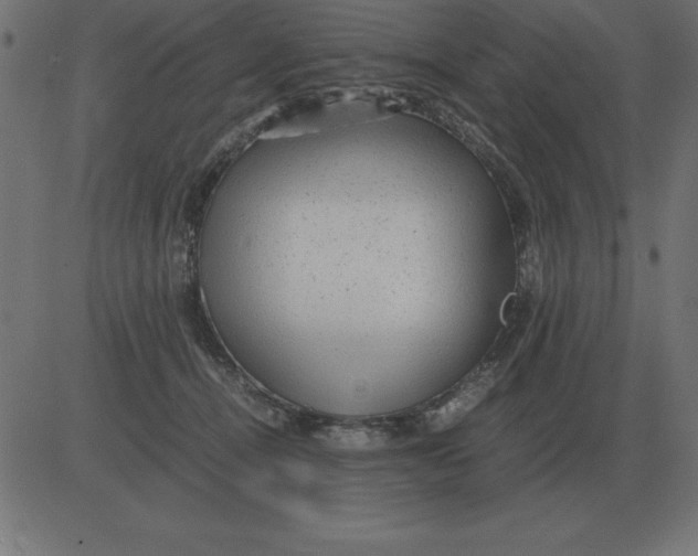 X0000081350464200702020119