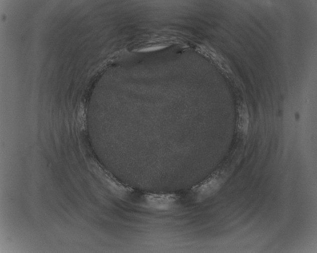 X0000081350465200702020119