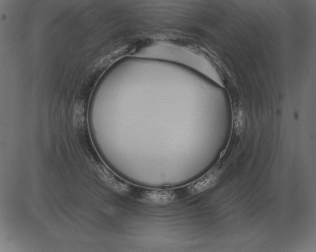 X0000081350466200702020119