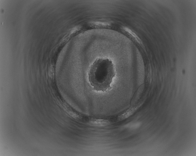 X0000081350467200702020119