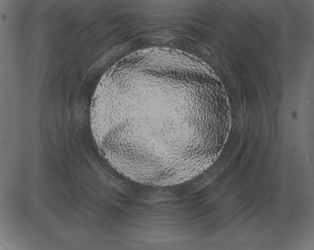 X0000081350468200702020119