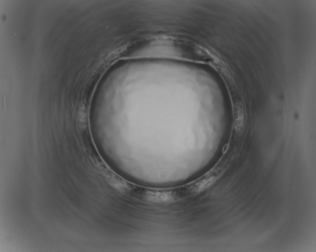 X0000081350469200702020119