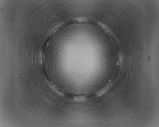 X0000081350470200702020119