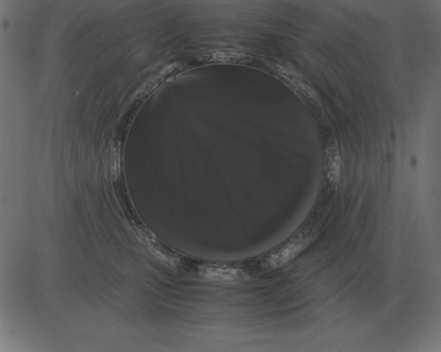 X0000081350471200702020119