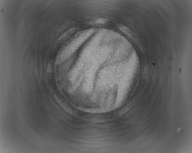 X0000081350472200702020119