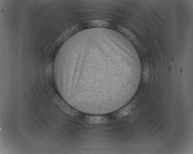 X0000081350473200702020119