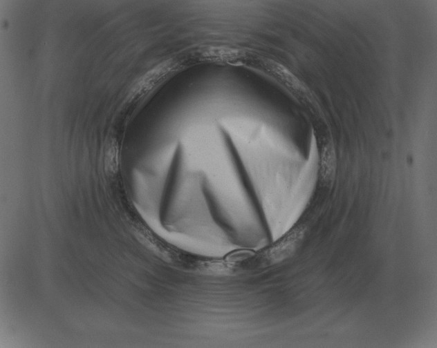 X0000081350474200702020119