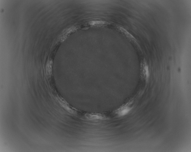 X0000081350475200702020119