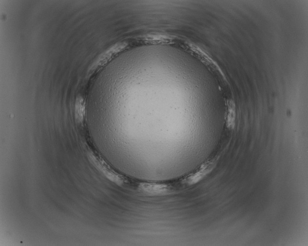 X0000081350476200702020119