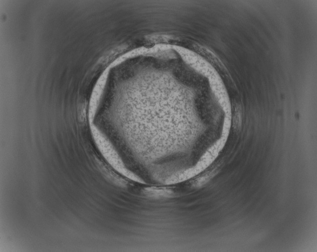 X0000081350477200702020119