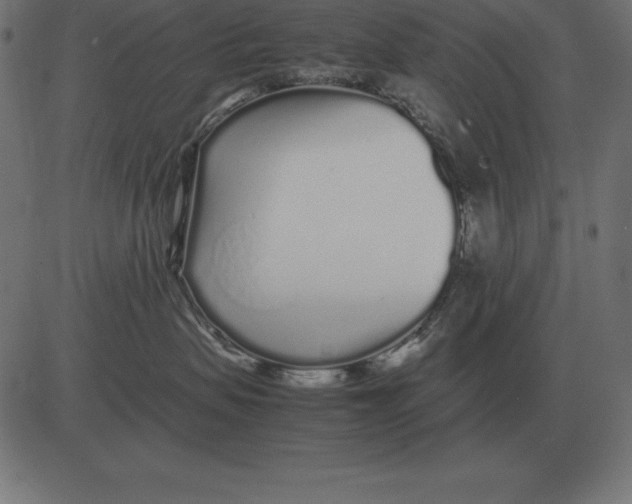 X0000081350479200702020119