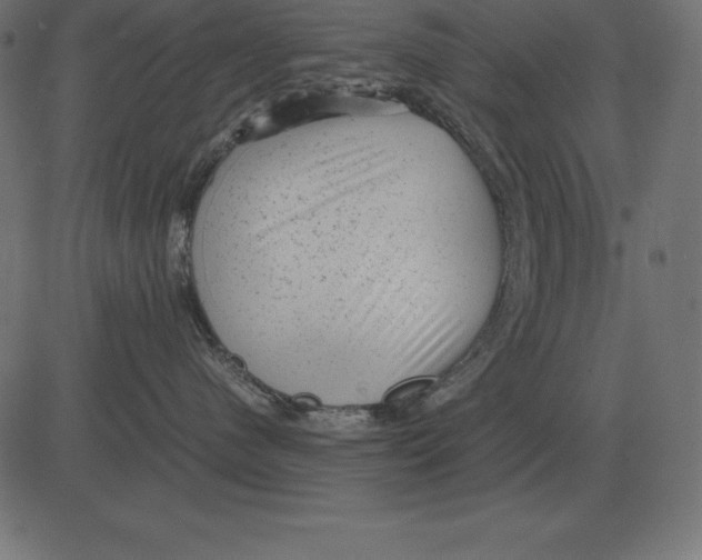 X0000081350480200702020119