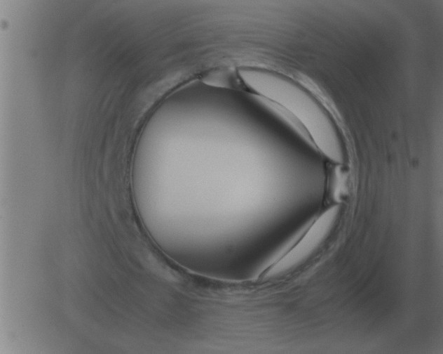 X0000081350481200702020118