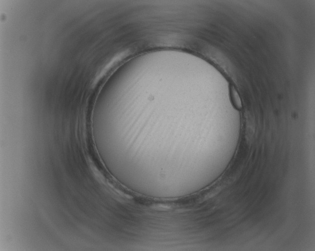 X0000081350482200702020118