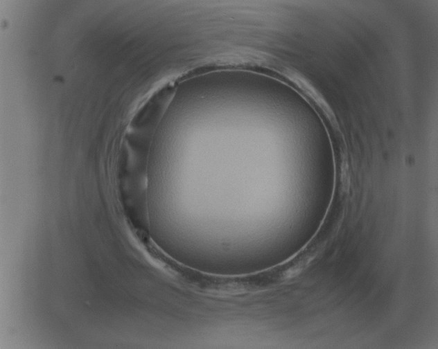 X0000081350485200702020118