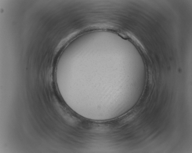 X0000081350486200702020118