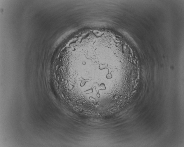 X0000081350487200702020118