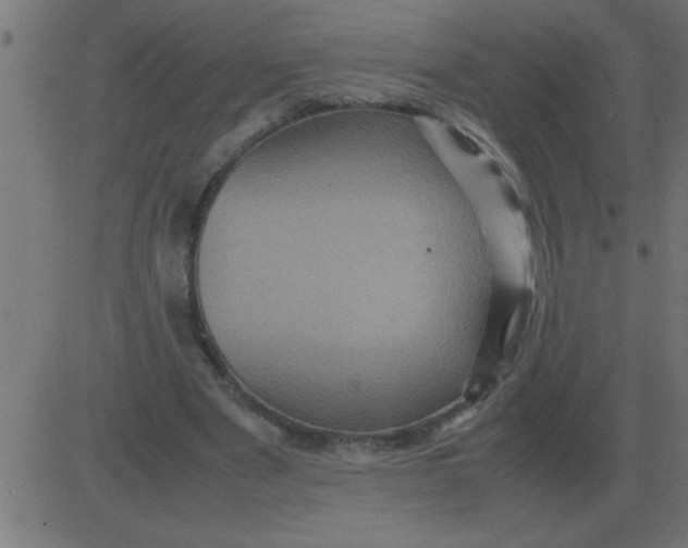 X0000081350489200702020118