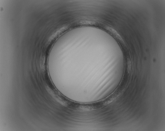 X0000081350490200702020118