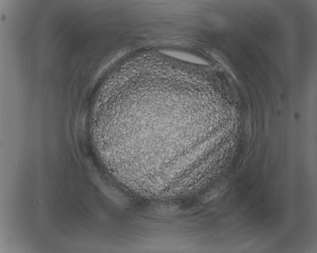 X0000081350491200702020118