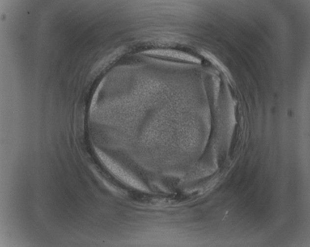 X0000081350493200702020118