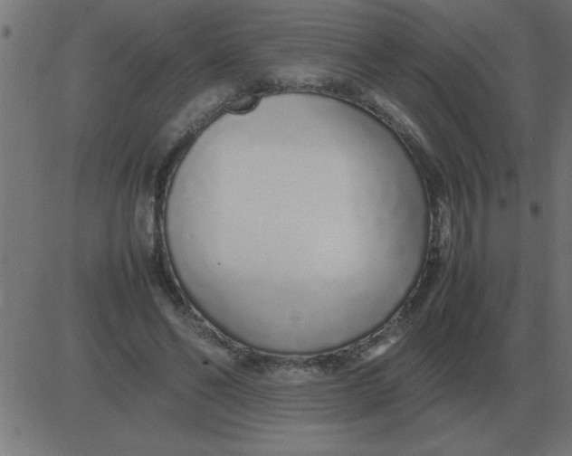 X0000081350494200702020118