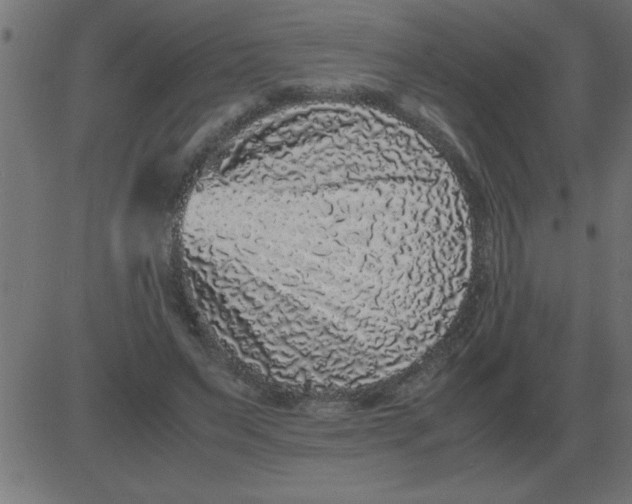 X0000081350495200702020118