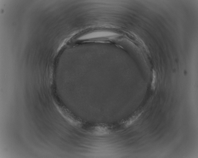 X0000081350496200702020118