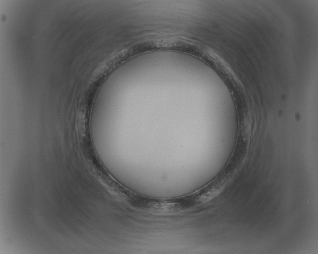 X0000081350497200702020118