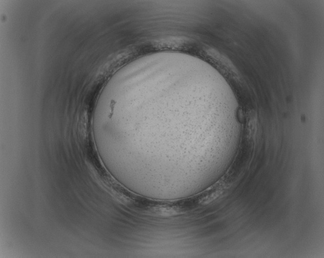 X0000081350498200702020118