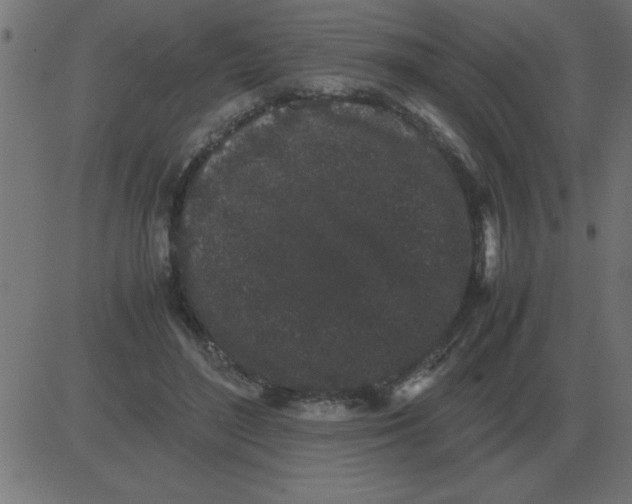 X0000081350500200702020118