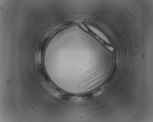 X0000081350502200702020118