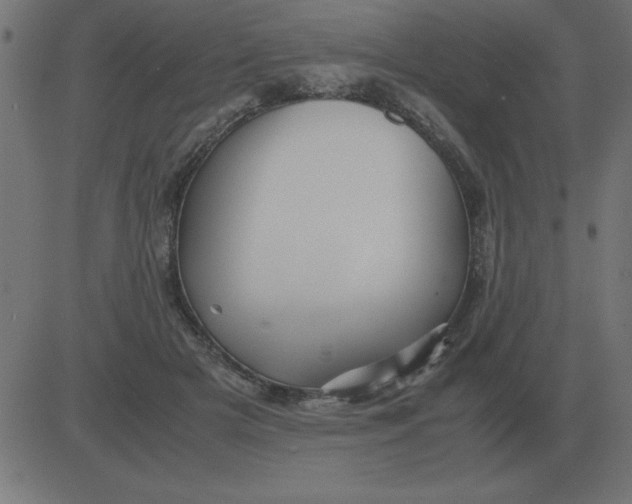 X0000081350505200702020118