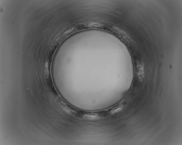 X0000081350506200702020118