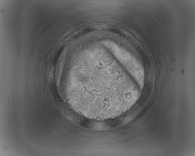 X0000081350507200702020118