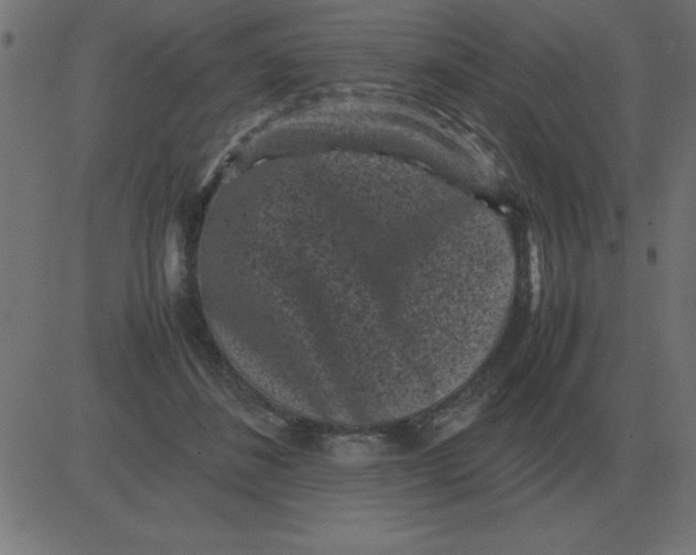 X0000081350508200702020118