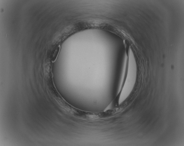 X0000081350509200702020118