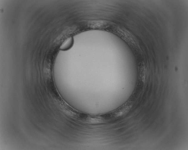 X0000081350510200702020118