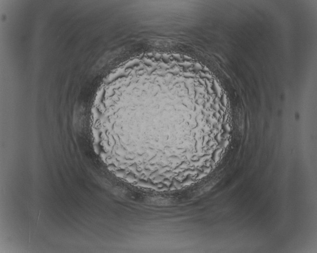 X0000081350511200702020118