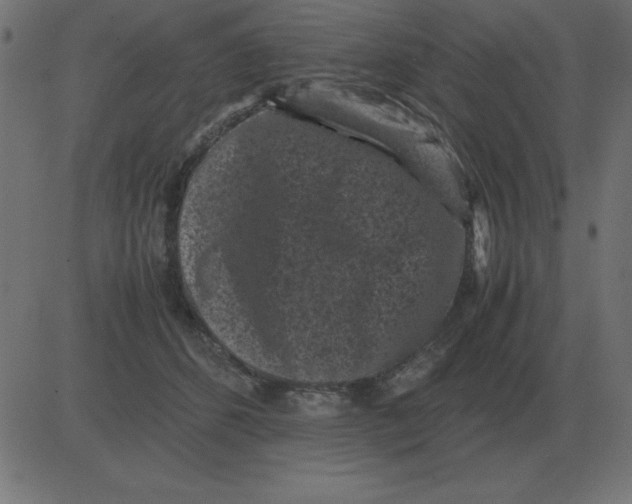 X0000081350512200702020118