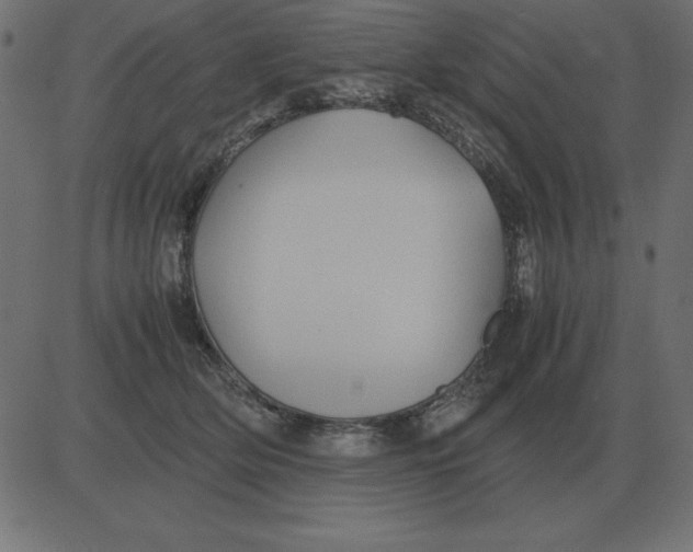 X0000081350514200702020118