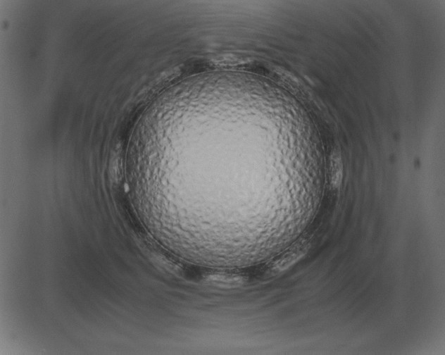 X0000081350515200702020118