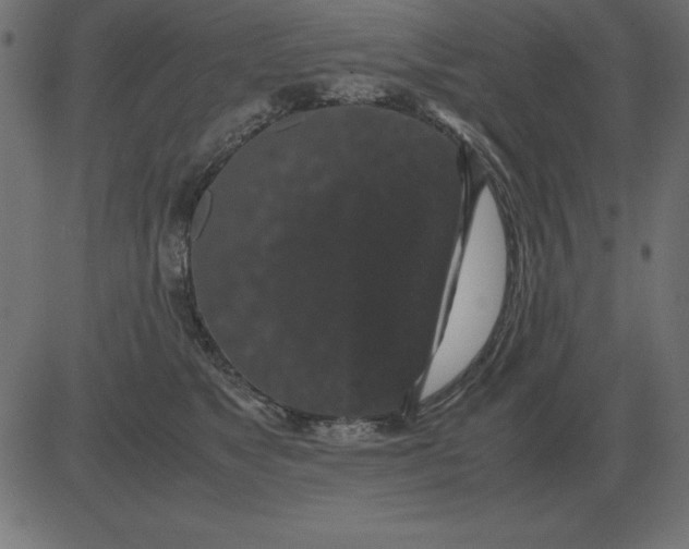 X0000081350517200702020118