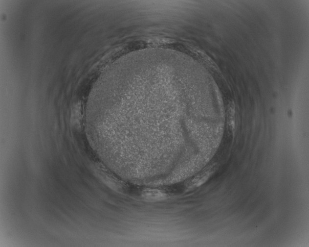 X0000081350519200702020118