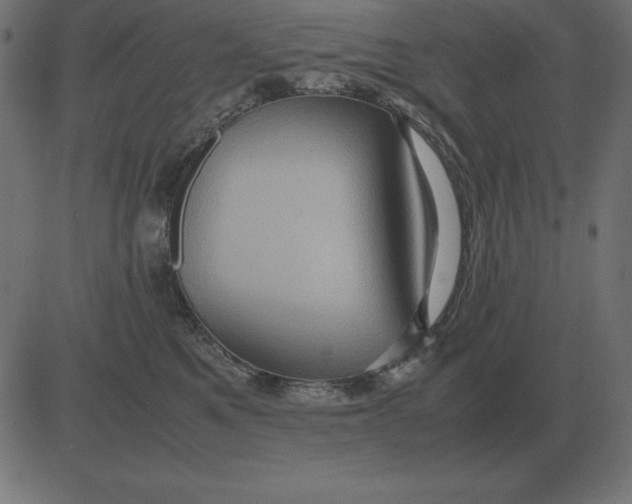 X0000081350521200702020118