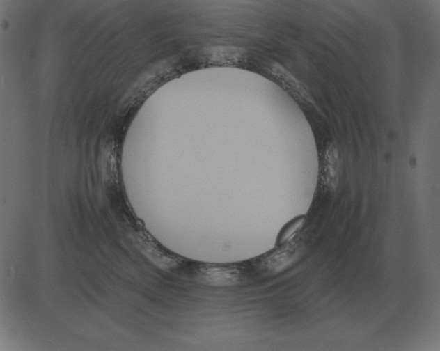 X0000081350522200702020118