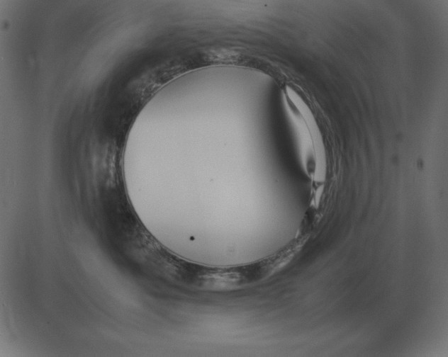 X0000081350525200702020117